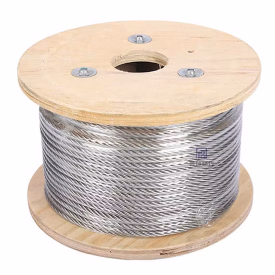 Inox Ss Antirust 316 7X19 3mm Stainless Steel Wire Aircraft Cable